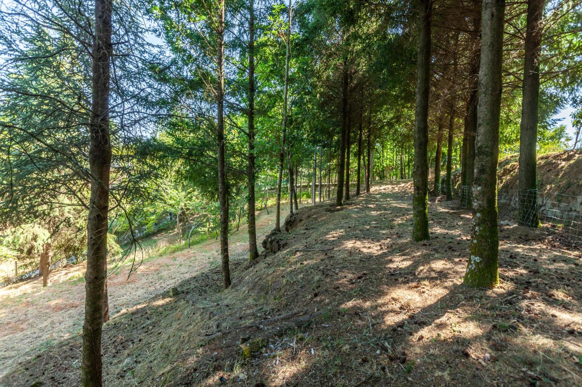 Villas Prendal Eco Living - Minho'S Guest Guimarães Kültér fotó