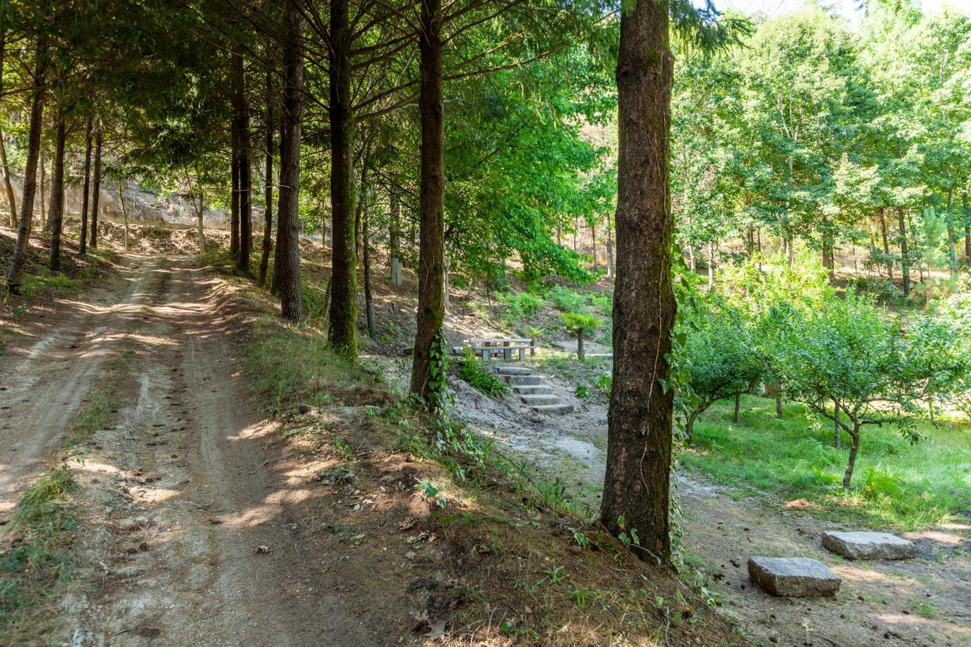 Villas Prendal Eco Living - Minho'S Guest Guimarães Kültér fotó