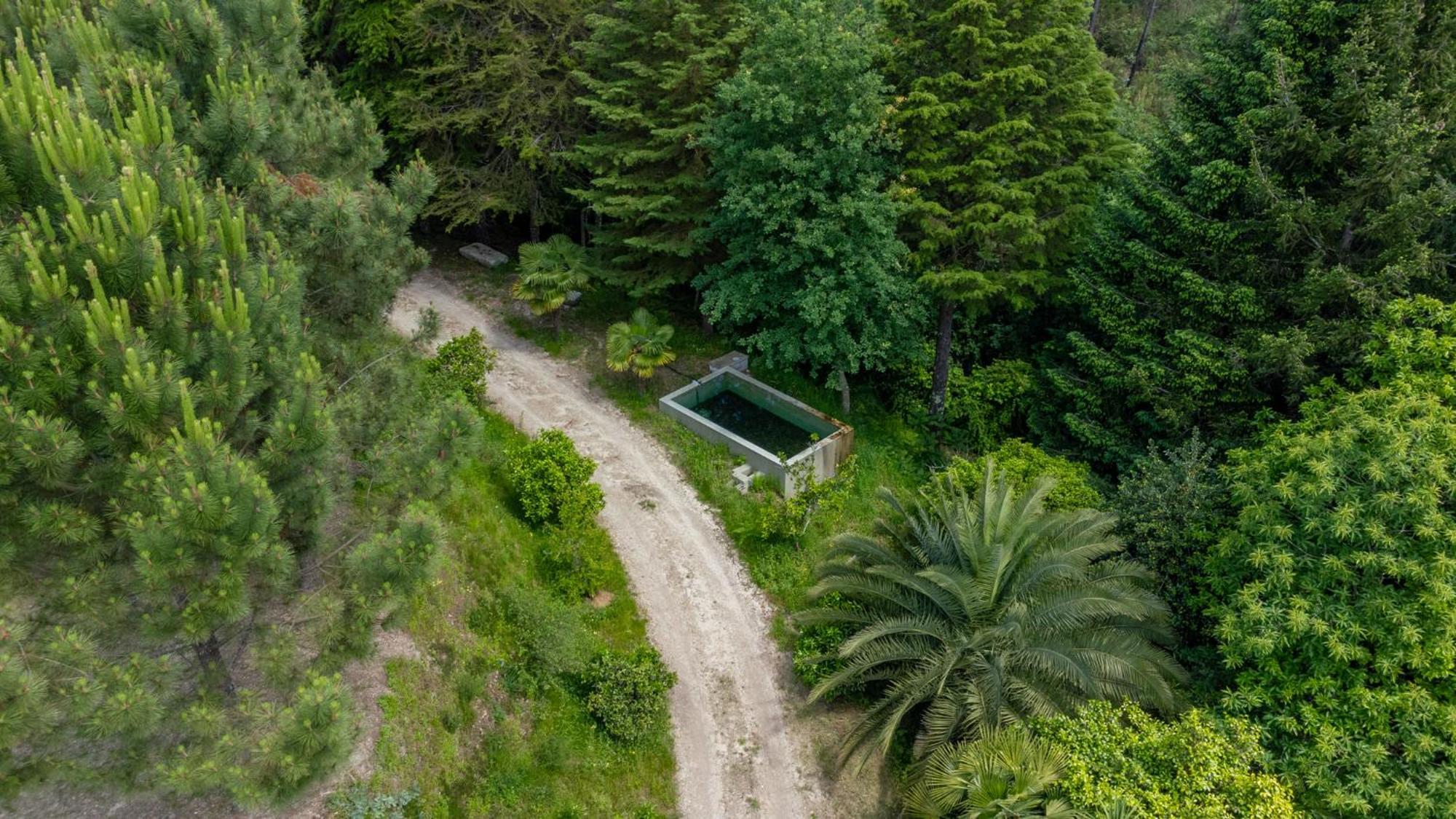 Villas Prendal Eco Living - Minho'S Guest Guimarães Kültér fotó