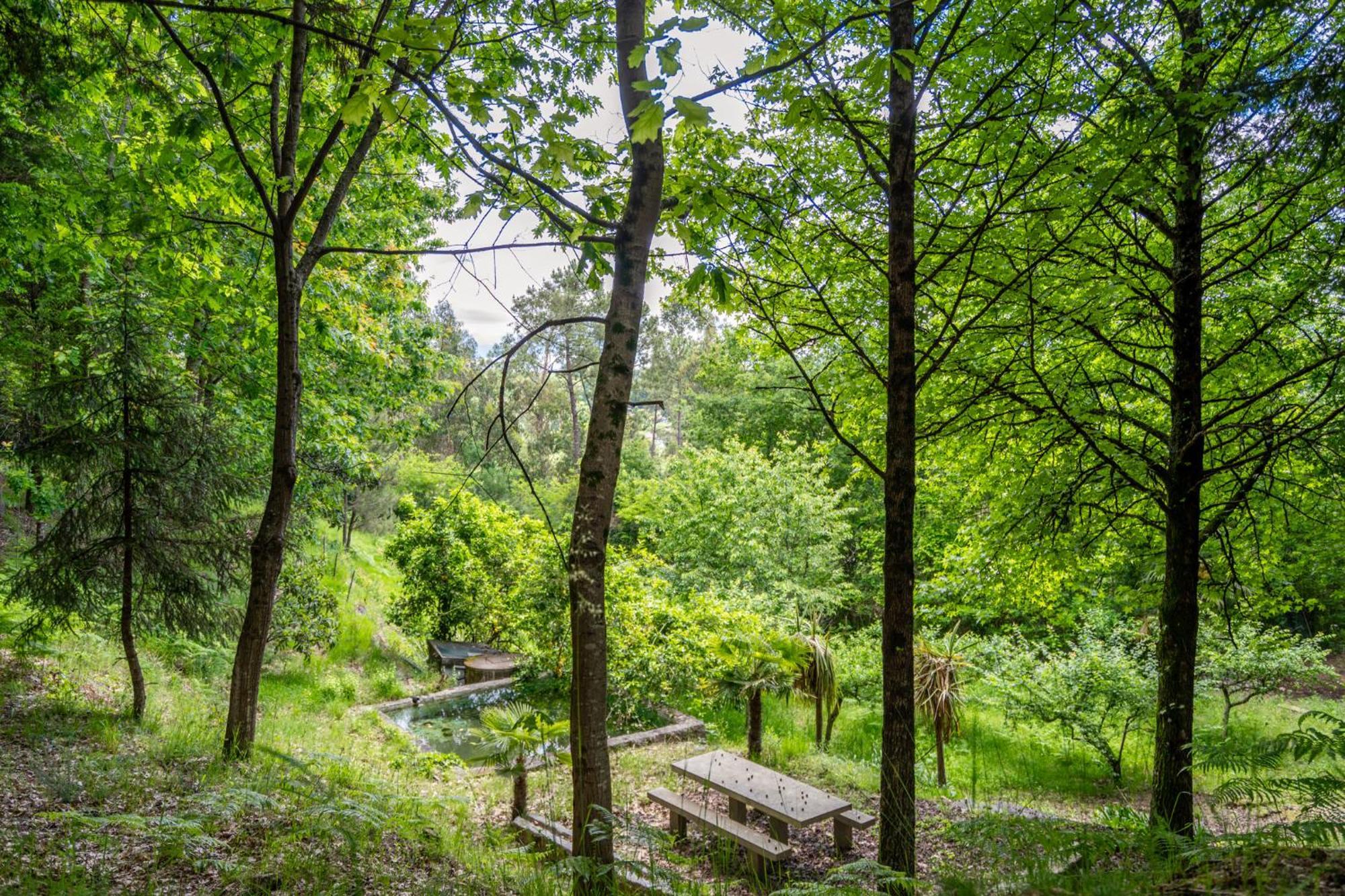 Villas Prendal Eco Living - Minho'S Guest Guimarães Kültér fotó