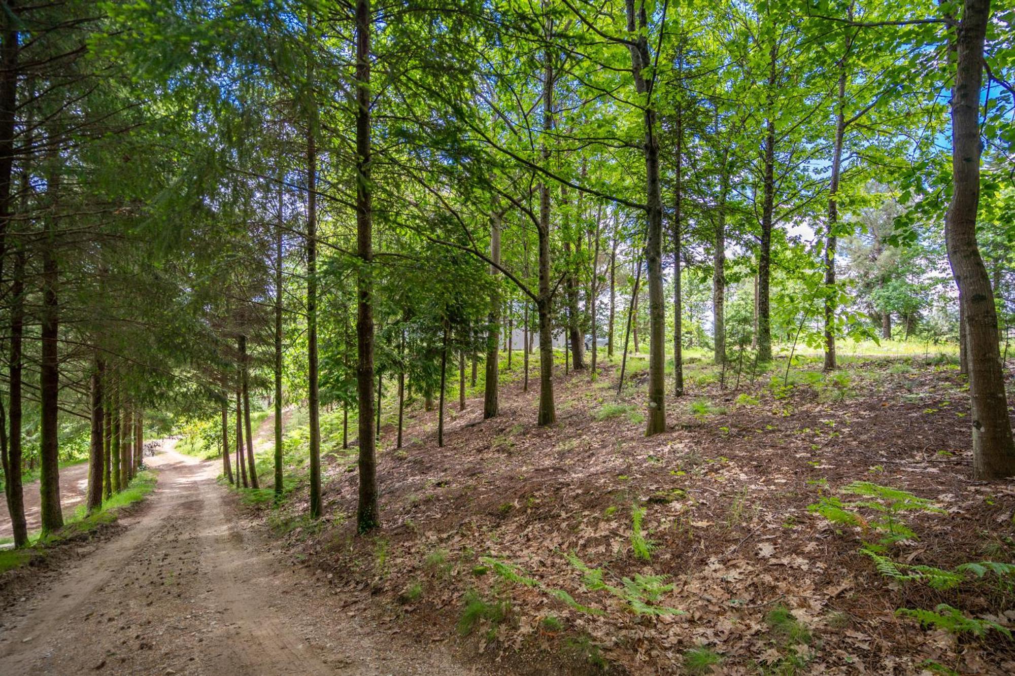 Villas Prendal Eco Living - Minho'S Guest Guimarães Kültér fotó